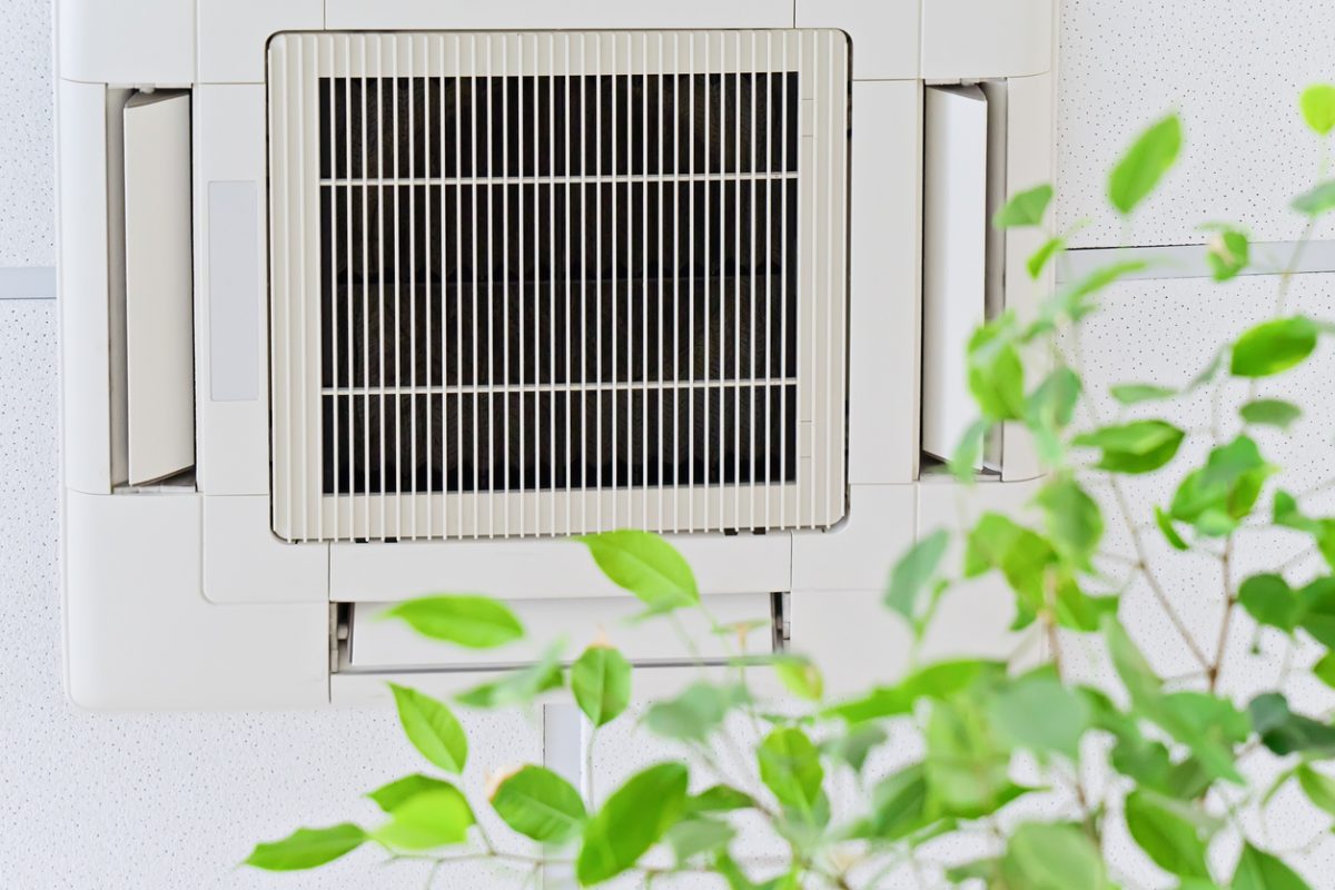 Improve the Indoor Air Quality in Your Home